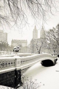 Tutto il fascino di New York sotto la neve